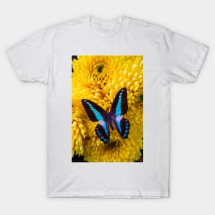 Blue Black Butterfly On Yellow Mums T-Shirt